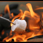 Marshmallow_335x225Image