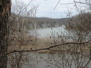 Views from Camp Bluffs