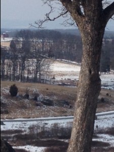 Gettysburg-Vikings-2