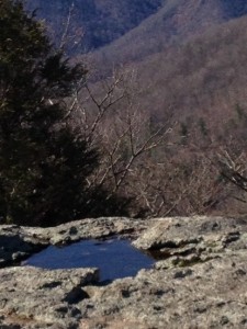 SpyRock-2017-Vikings-3