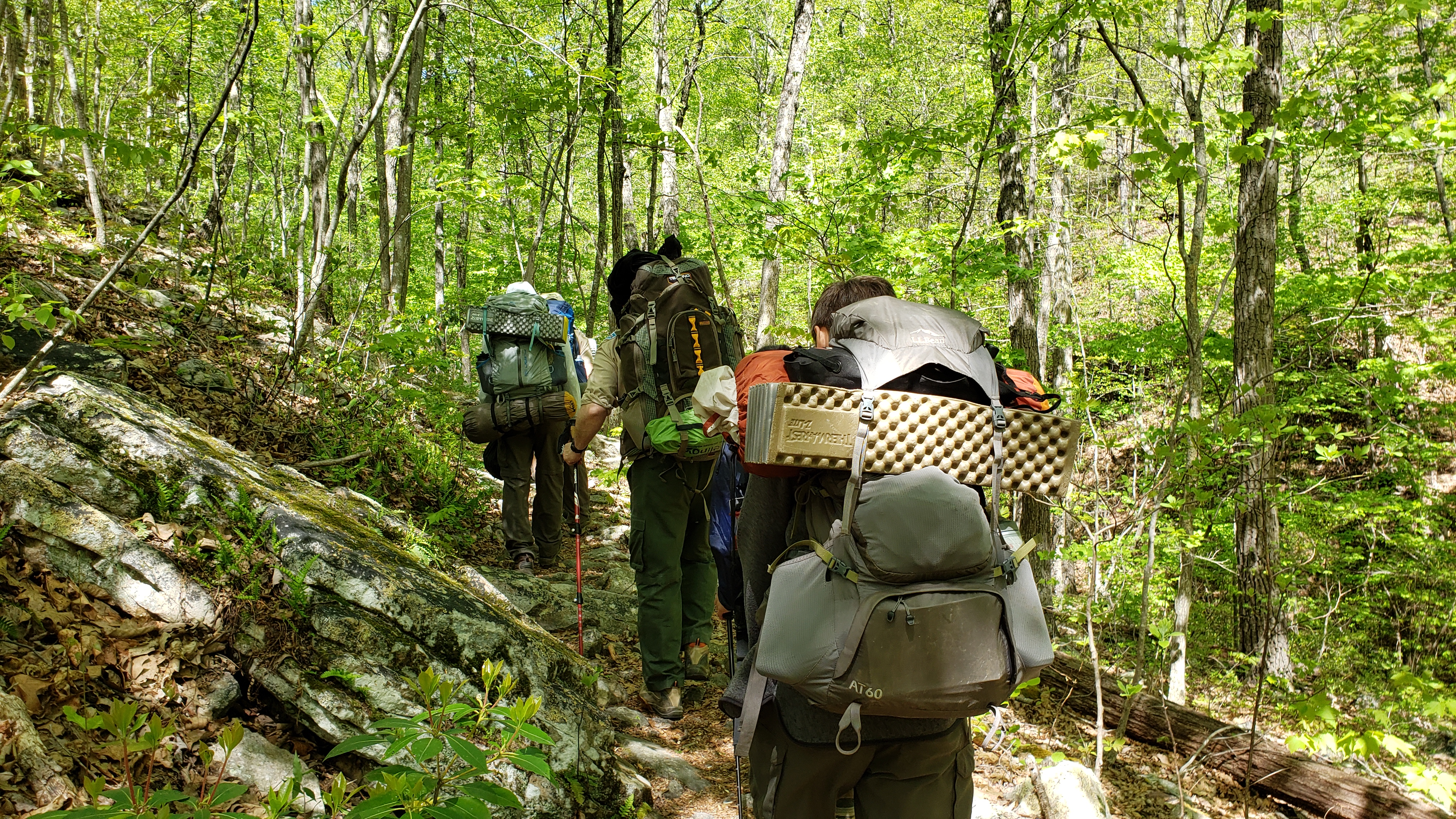 Signal Knob Outing April 2019