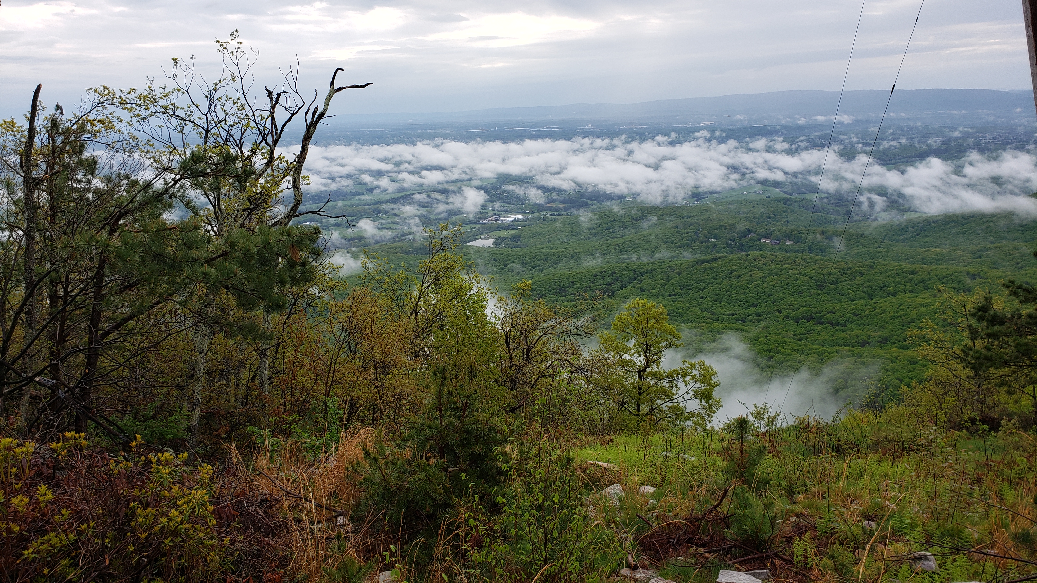 Signal Knob Outing April 2019