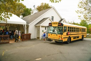 47a9ce37b3127cce985479d6a6ad00000000100EaM2LNy2Yt2