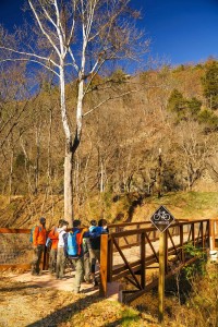 47a9cf38b3127cce98547181a53900000000100EaM2LNy2Yt2