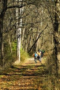 47a9cf38b3127cce98547190241800000000100EaM2LNy2Yt2