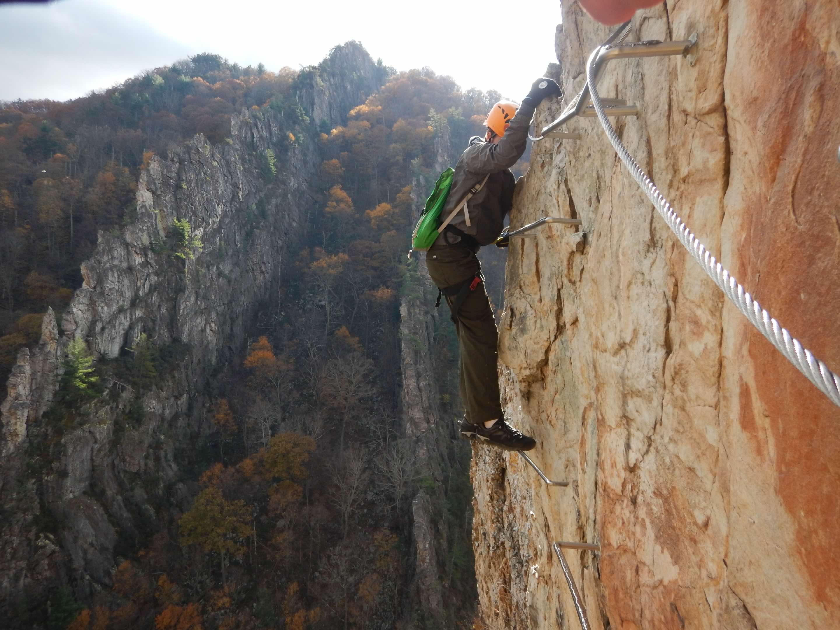 mmexport1541558390272